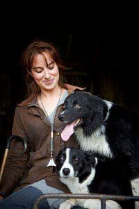 1 a 1 a sheep dog trials 5