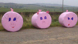 DUMFRIES AND GALLOWAY YOUNG FARMERS GET ALL WRAPPED UP IN BALE SCULPTURE COMPETITION