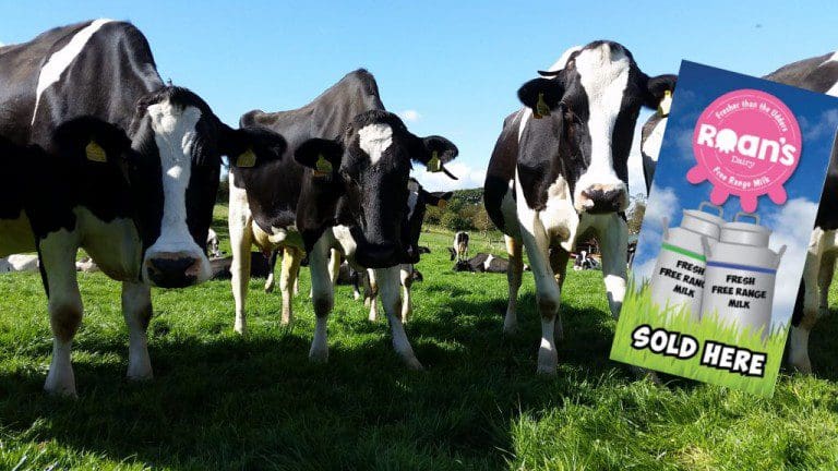 LOCALLY PRODUCED MILK NOW AVAILABLE IN MANY OF THE REGIONS SHOPS