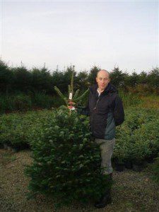 Rory Young with one of his locally grown Christmas trees 