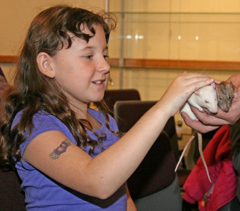 ENJOY FREE FAMILY FUN AT DUMFRIES AND ANNAN MUSEUM’S FOR ST ANDREWS DAY