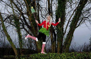 1 a 1 a BBS Tinsel Fairy
