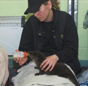 1 a 1 a Buddy with Sheelagh McAllister