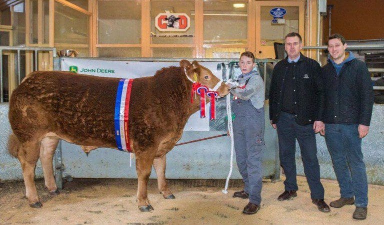 ‘JACK THE LAD’ TAKES CHAMPIONSHIP AT DUMFRIES MART CHRISTMAS SHOW 2015