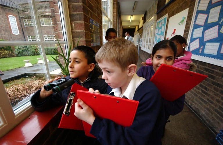 Eagle-Eyed Schoolchildren Set To Count Scotland’s Birds