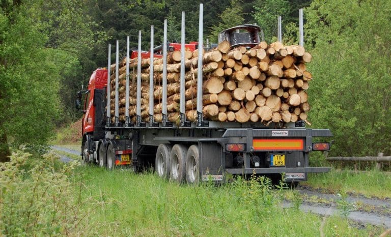 Timber