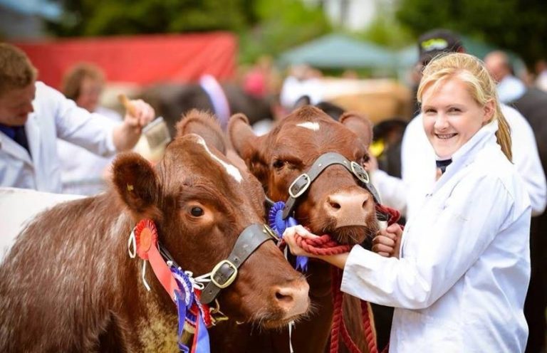 Newton Stewart Lass ‘Katie’ Reaches Finals of Beef Student of the Year