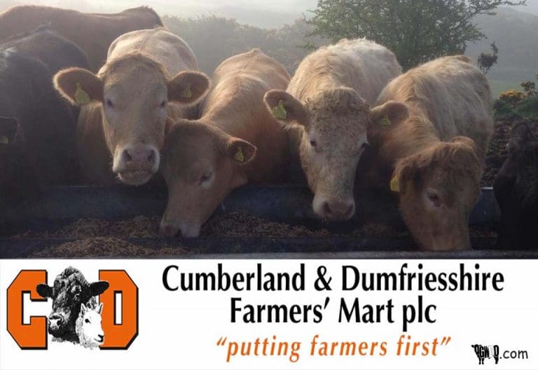DUMFRIES MART