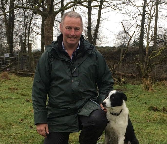 Sheep Dog