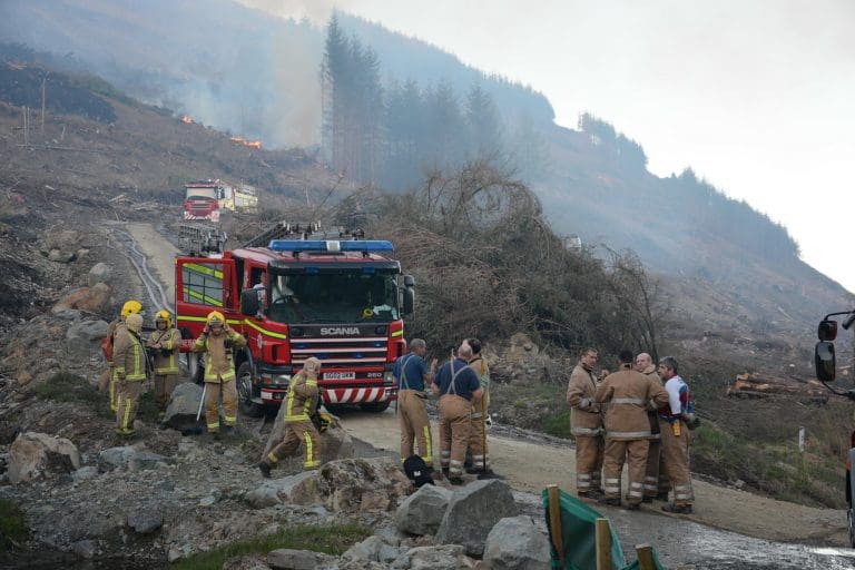 FOREST FIRE