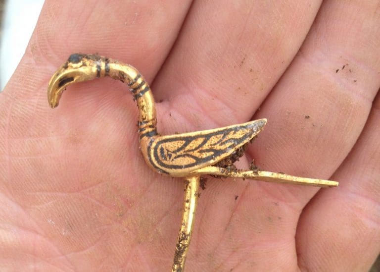 Local Msp Urges Government To Intervene In Viking Treasure Bid