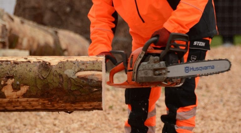 A701 Overnight Tree Felling To Start On may 31st