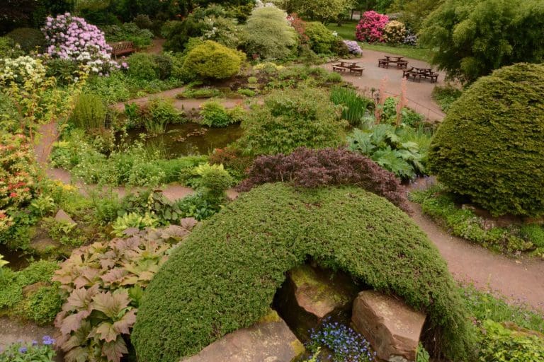 crichton rock garden