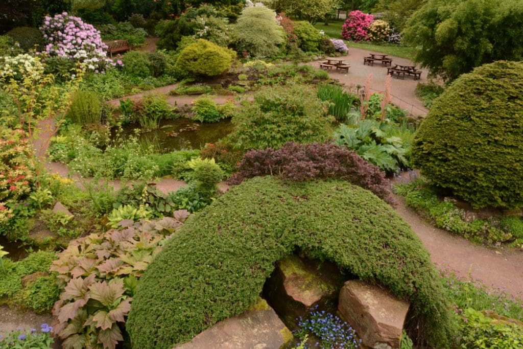crichton rock garden