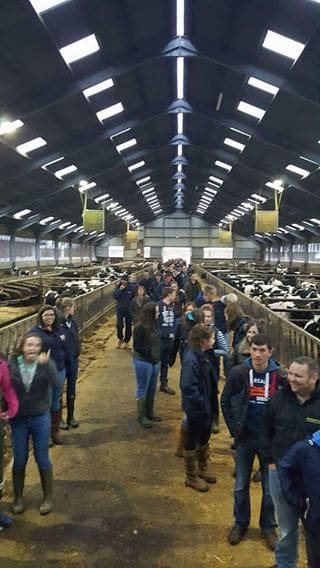 Farm Walk