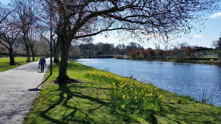 Stunning Success For Dock Park – Dumfries