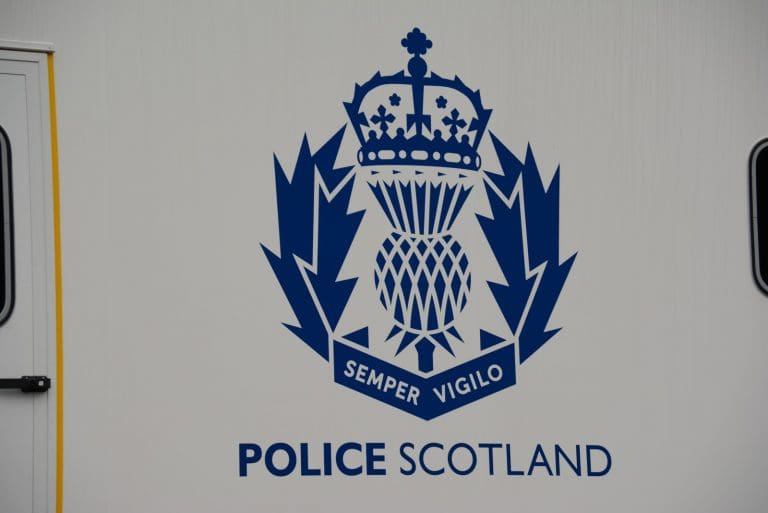 Loose Dog Injuries Lambs  –  Dumfries