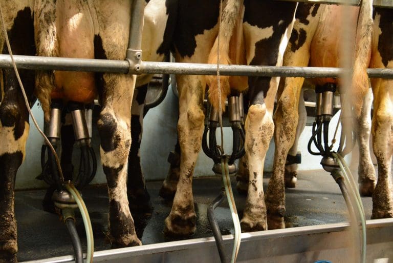 MILK PRICE INCREASES