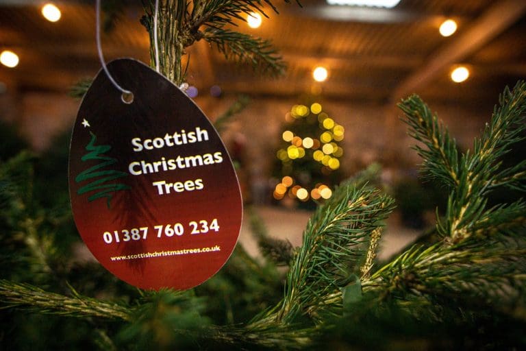This Christmas– Keep It Real With A Locally Grown Christmas Tree From Scottish Christmas Trees