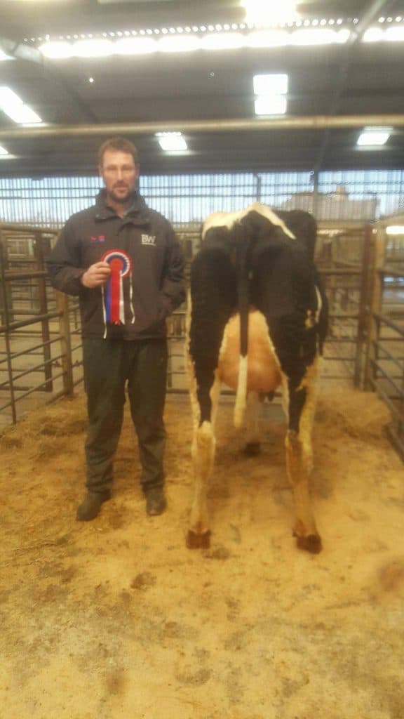 Dumfries Mart Christmas Show