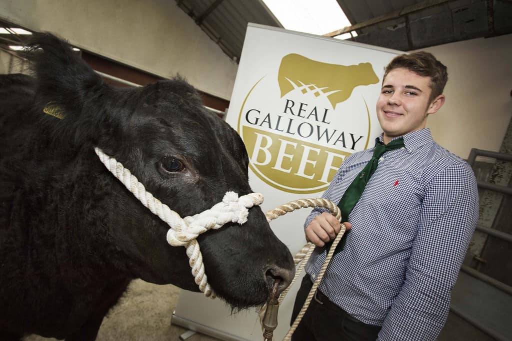 Real Galloway Beef Project