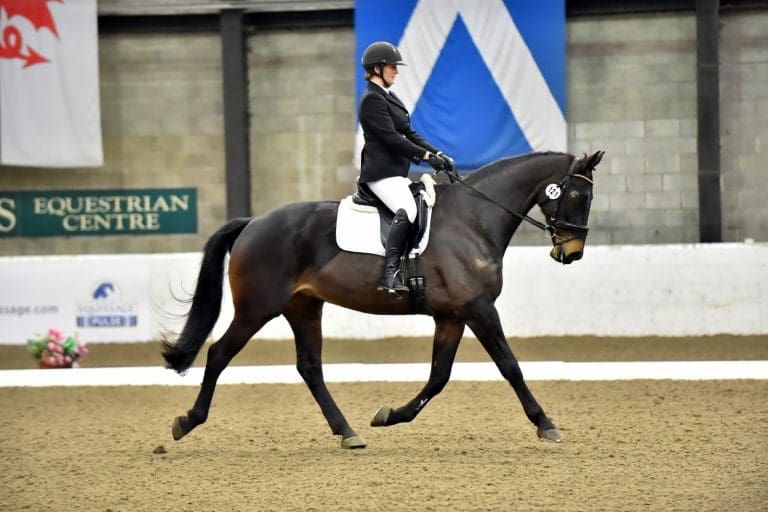 National Area Festival Dressage Final Wildcard
