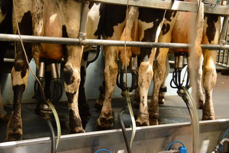 MILK PRICE CUTS