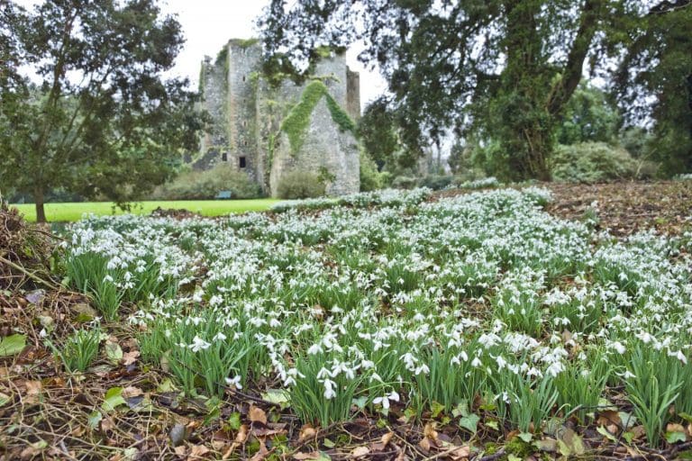 Castle Kennedy Gardens Gets Set To Open For Spring