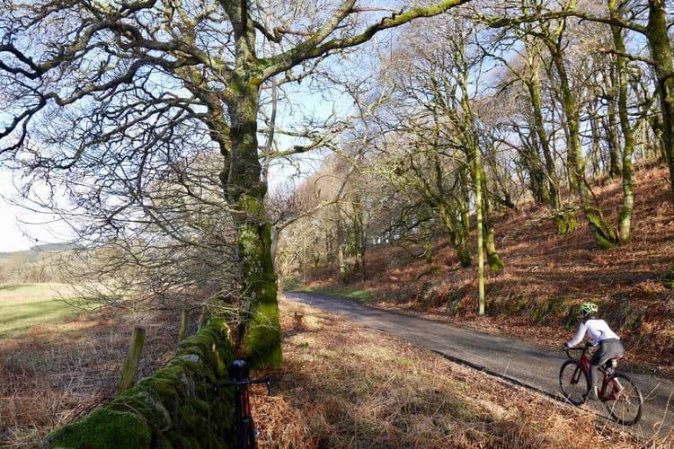 Quiet road near Gatehouse