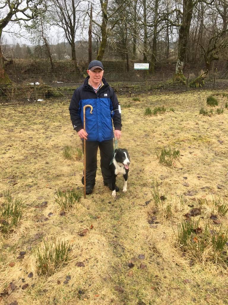 MOFFAT SHEEP DOG SALE 2018