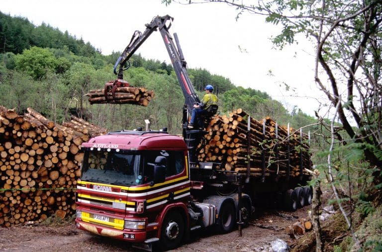 Government Announces  £5m Boost for Timber Transport Funding