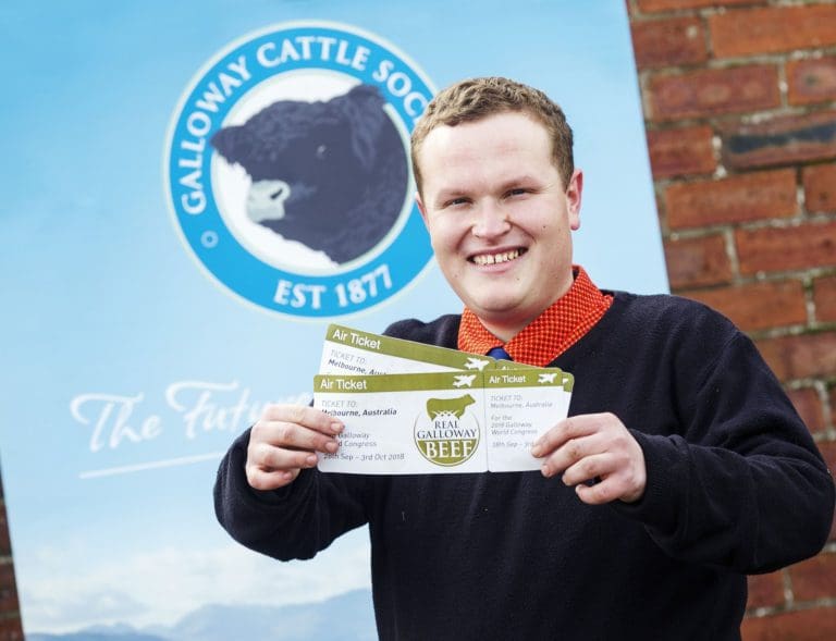 Galloway Beef Project