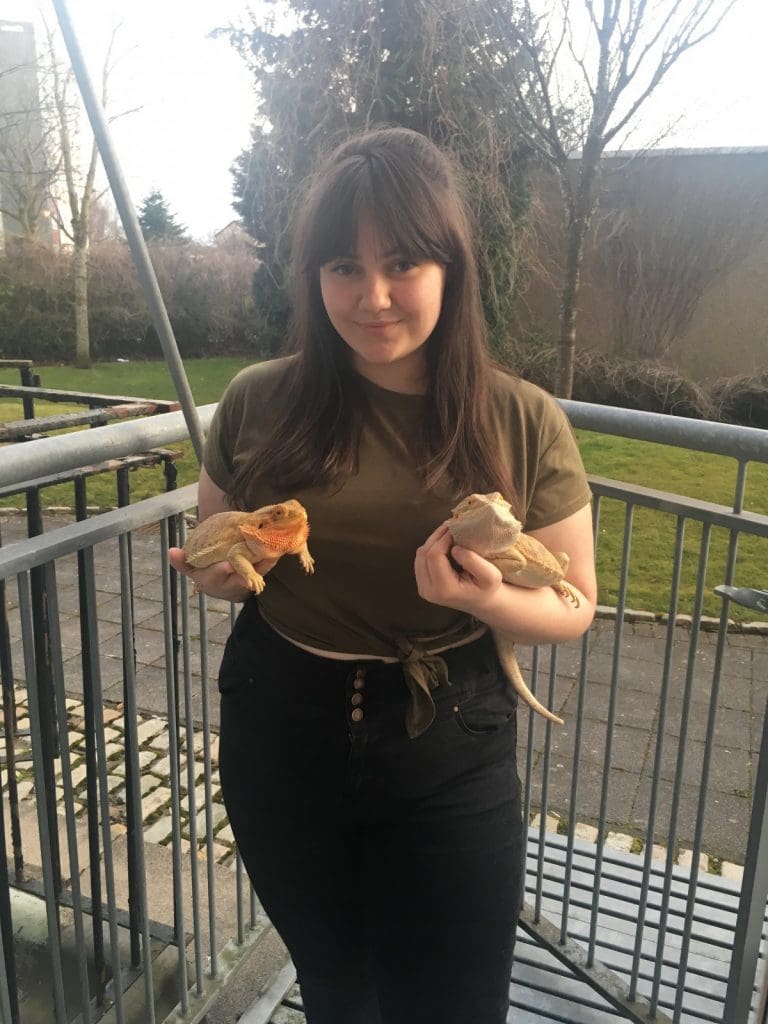 How to Tame Your Dragon!  SRUC Students Reach National Animal Husbandry Final