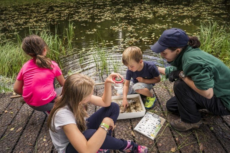 Drumlanrig Castle Hopes to Capture the Imagination of Youngsters