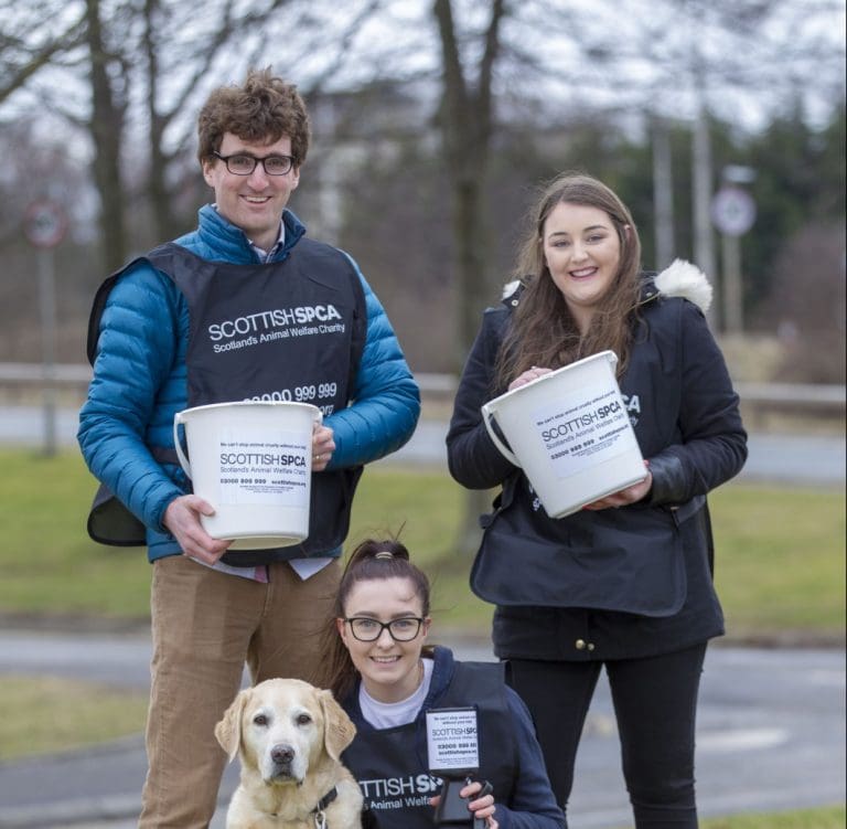 Can You Lend a Hand for Scotland’s Animals?