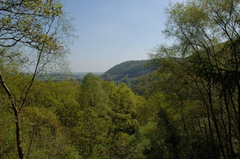 Mabie forest - DGWGO Dumfries and Galloway News