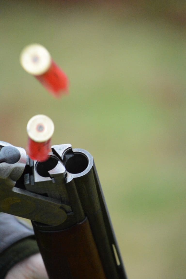 Dumfries and Galloway MP Secures Commonwealth Shooting Medals Rethink Debate