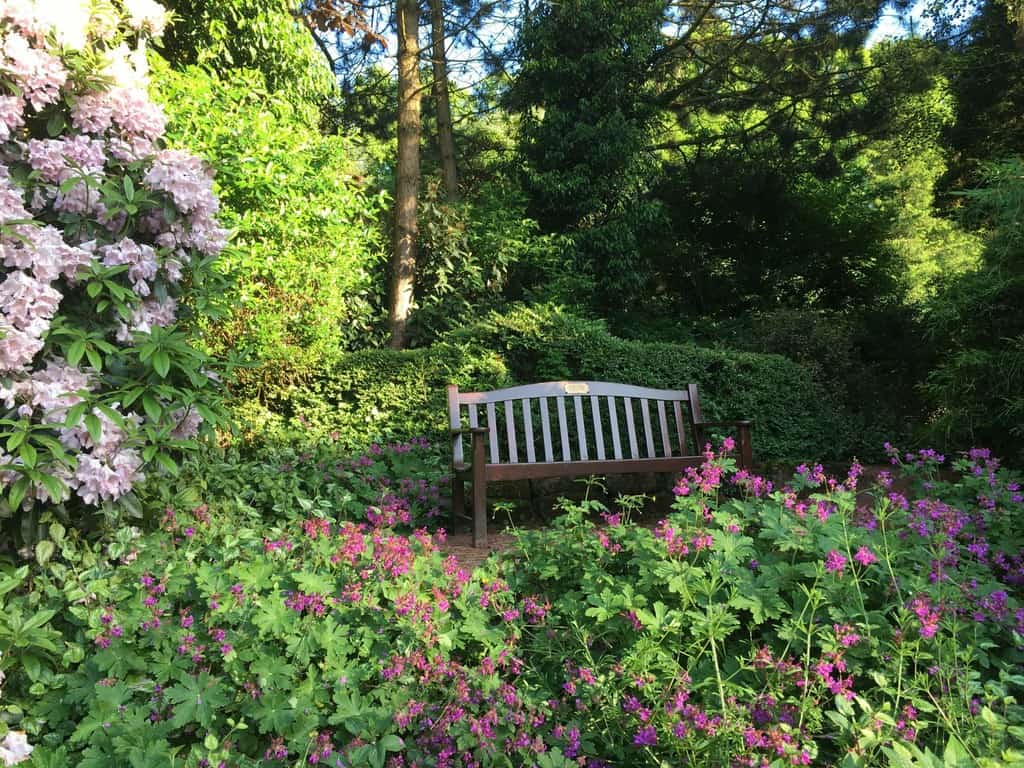 BEECHGROVE GARDEN ROADSHOW