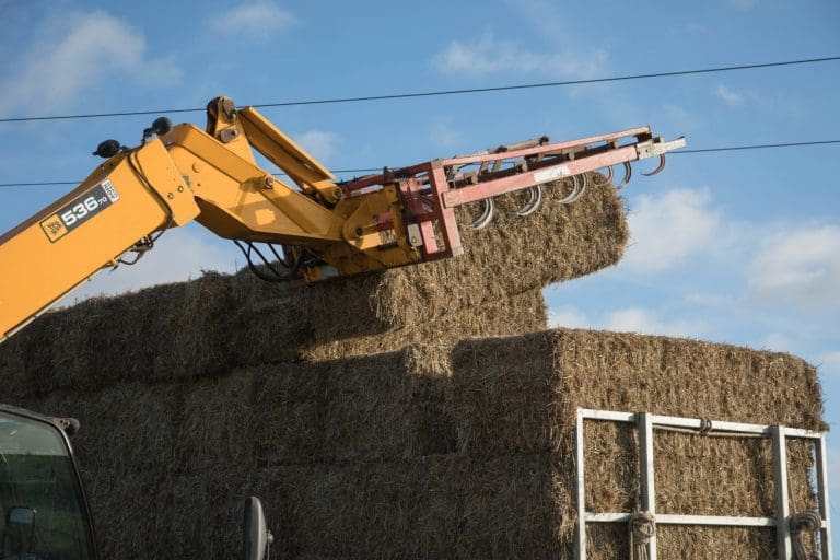 Working Near Overhead Power Lines