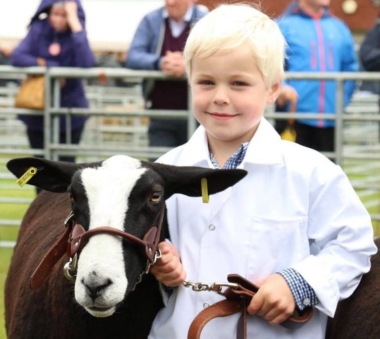 174th Stranraer Show Gets Ready To Shine This Wednesday