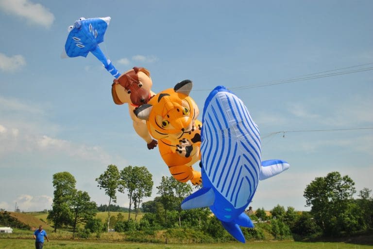 First Kirkcudbright Kite Festival