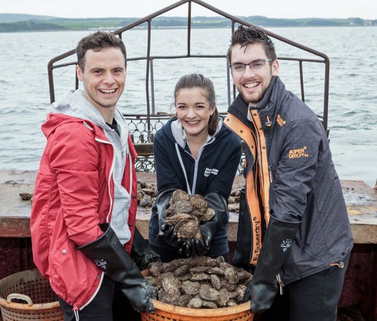 Scottish native oyster season opens with harvesting for Stranraer Oyster Festival
