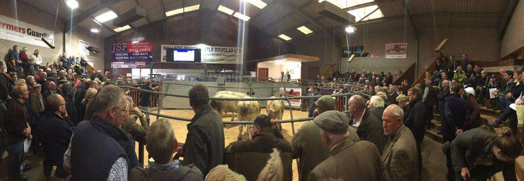 SUCKLED CALF SALE