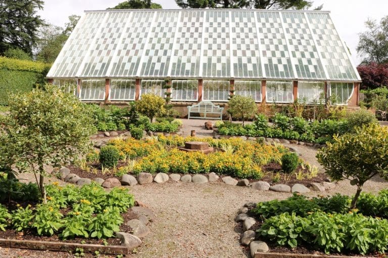 Garden of Gold Blooms at Drumlanrig