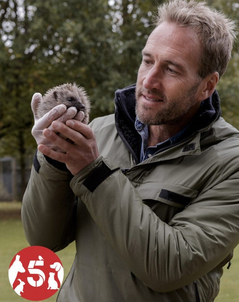 Help Animals Channel 5