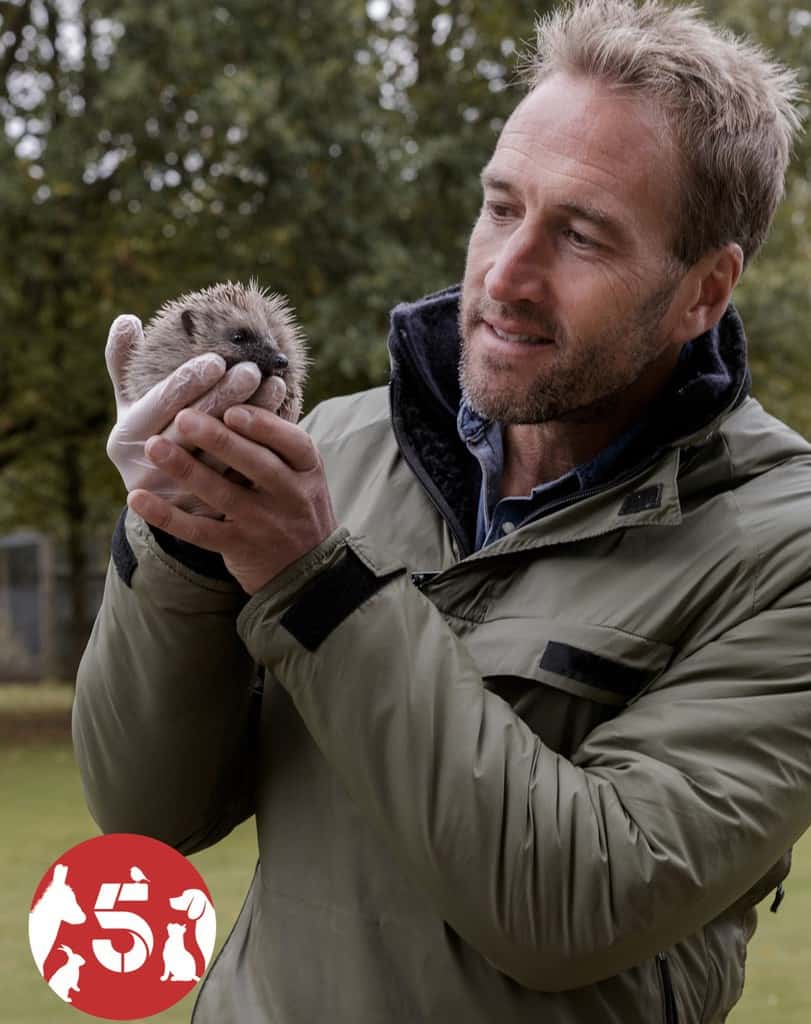 Help Animals Channel 5