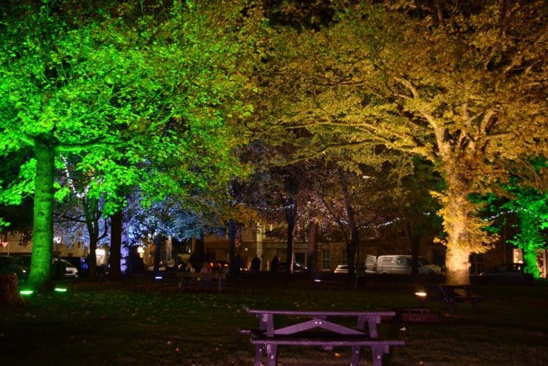 New Guide Launched to Celebrate the 64 Trees in Kirkcudbright Soaperie Gardens