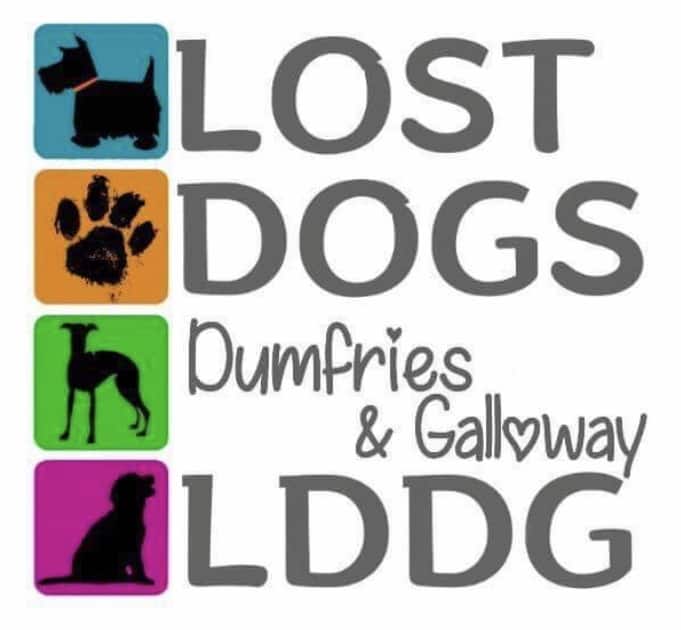 Lost Dogs