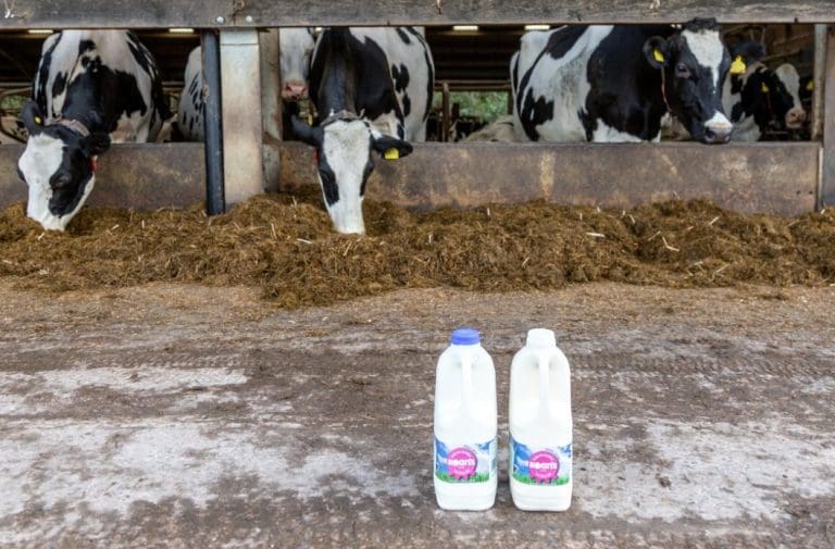 Roans Dairy