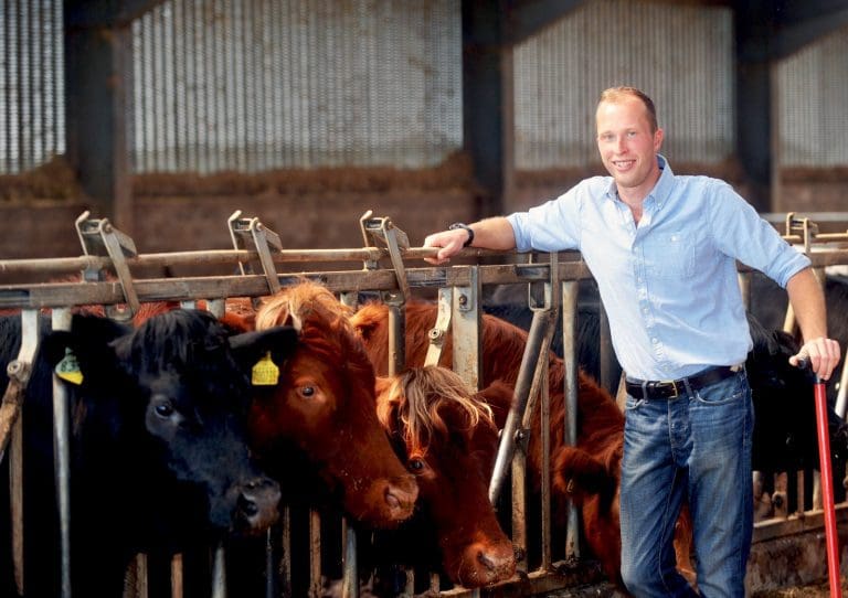 Cattle Finishing Systems